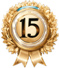 15 year badge